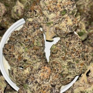 Sherbacio Sunset Sherbet x Gelato #41 ⛽️