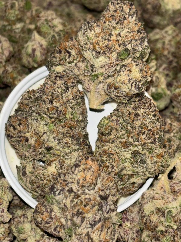 Sherbacio Sunset Sherbet x Gelato #41 ⛽️
