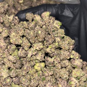 Blueberry Caviar- Exotic Smalls