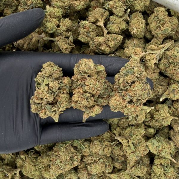 OG Kush
