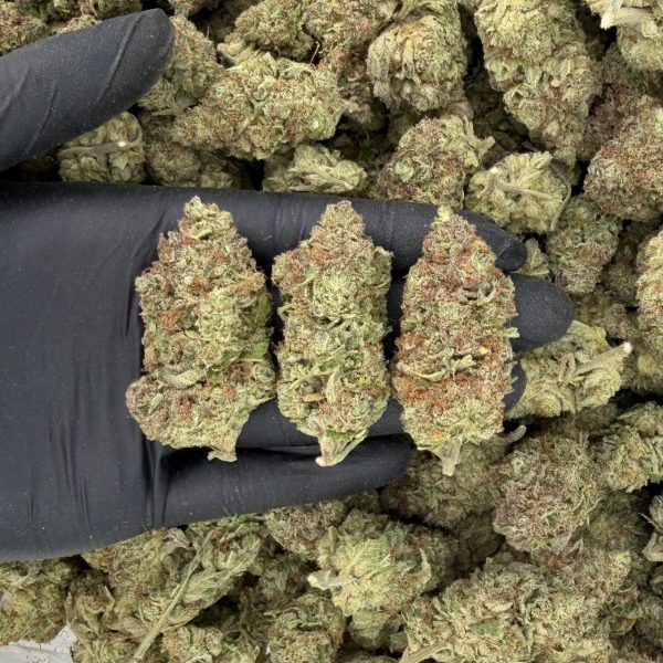 Purple Skunk