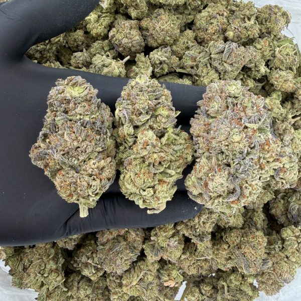 GMO Cookies