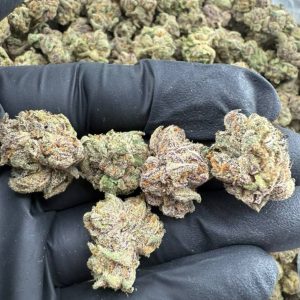 Blue Nerds Indoor Med/SM