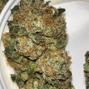 Grease Monkey