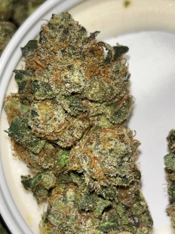 Grease Monkey