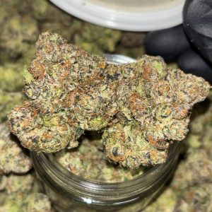 Sour Runtz