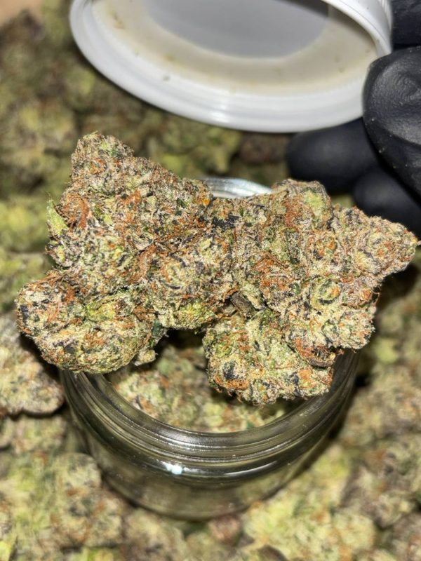Sour Runtz
